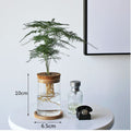 Avtoit | Nordic Transparent Glass Wooden Flower Vase