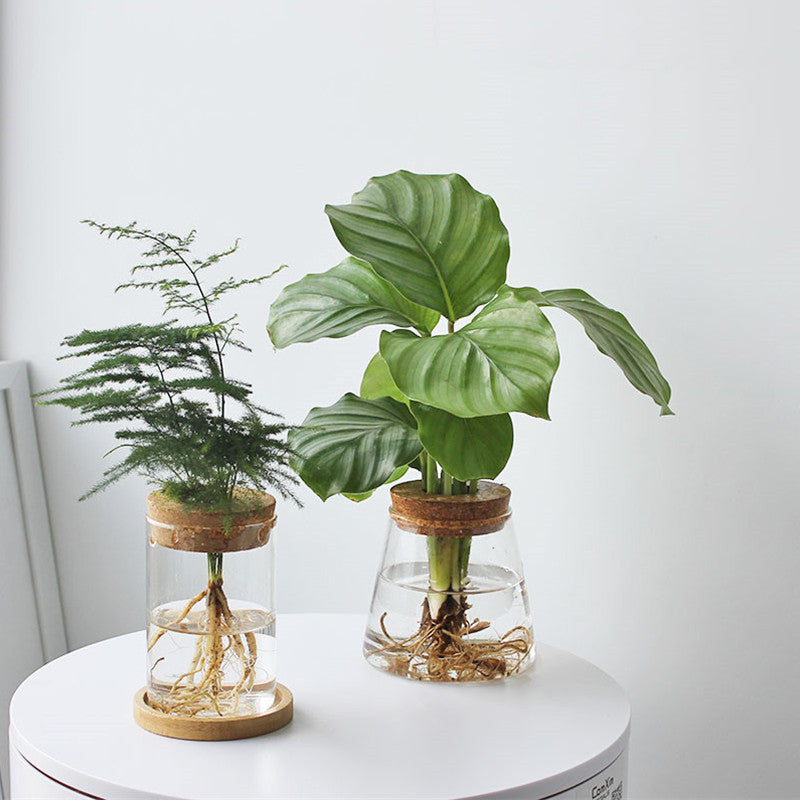 Avtoit | Nordic Transparent Glass Wooden Flower Vase