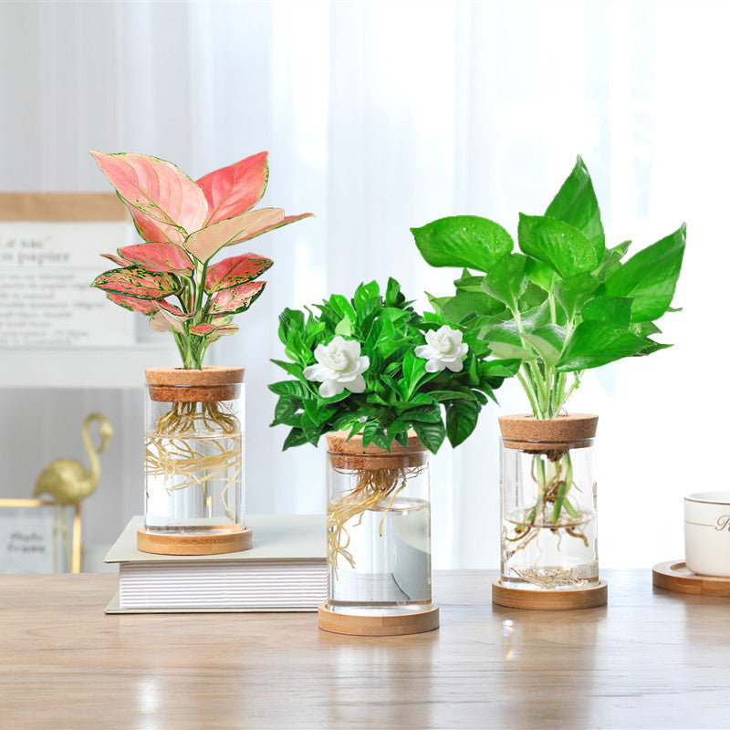 Avtoit | Nordic Transparent Glass Wooden Flower Vase