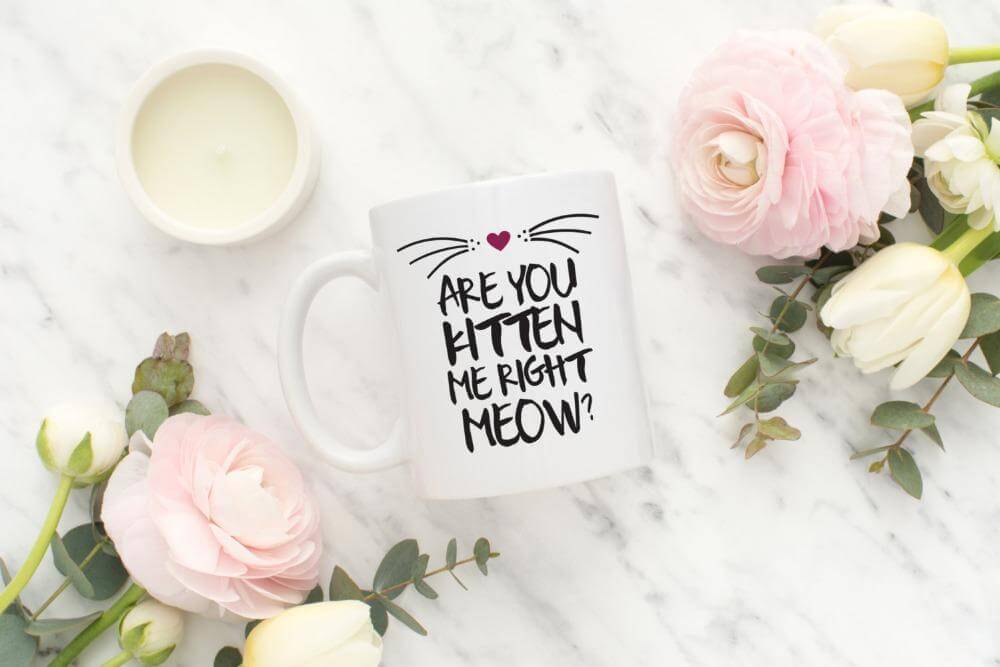 Avtoit | Are you kitten me right now Ceramic Mug