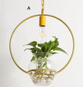 Avtoit | Modern Decorative Hanging Lights