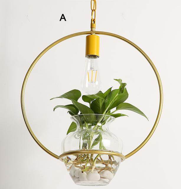 Avtoit | Modern Decorative Hanging Lights