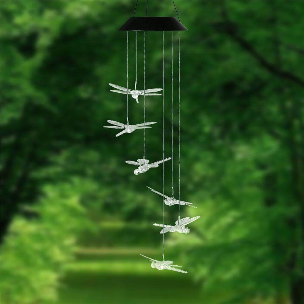 Avtoit | Outdoor LED Solar Hummingbirds DrangFly Lamp