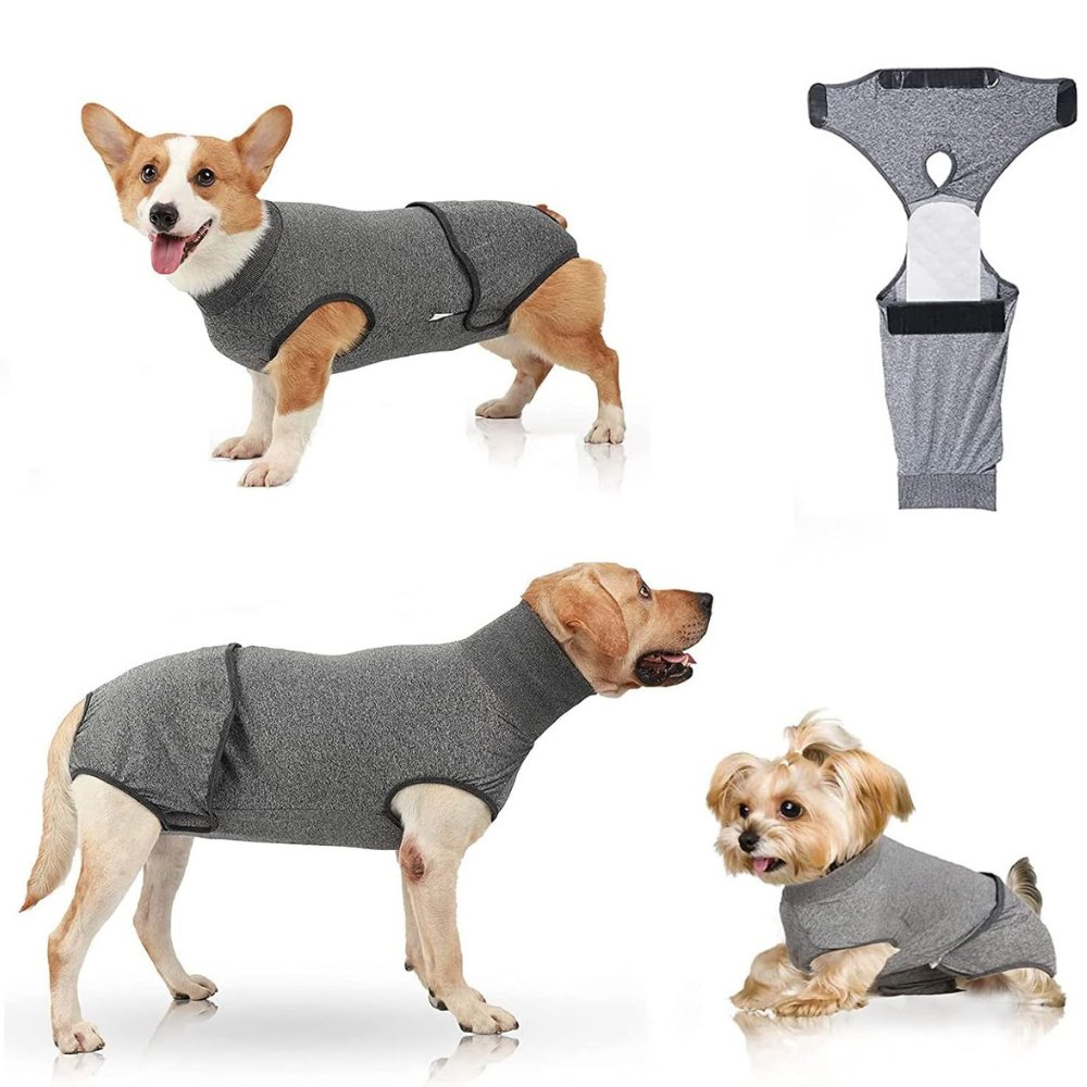 RecoverEase • Professional Dog Recovery Suit