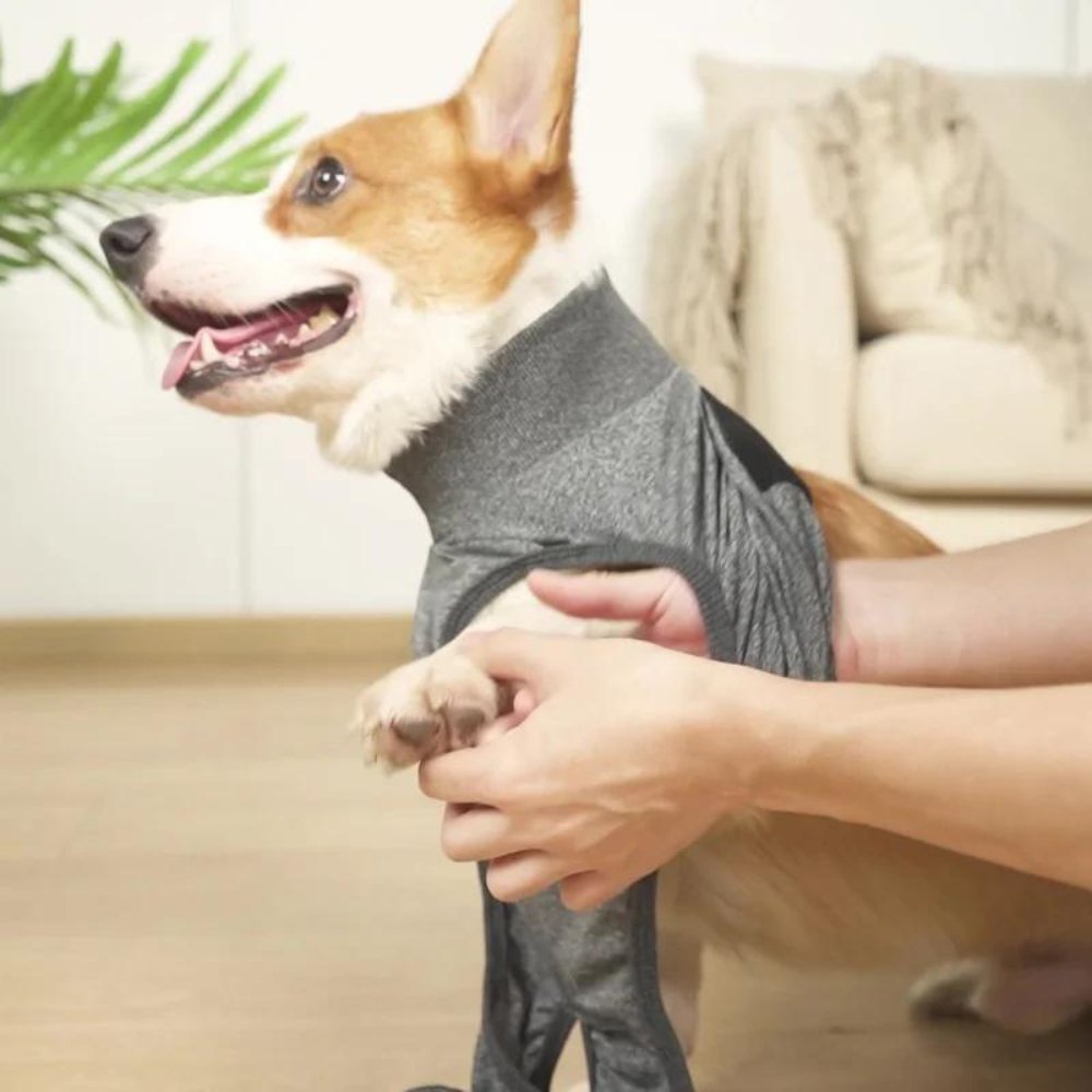 RecoverEase • Professional Dog Recovery Suit