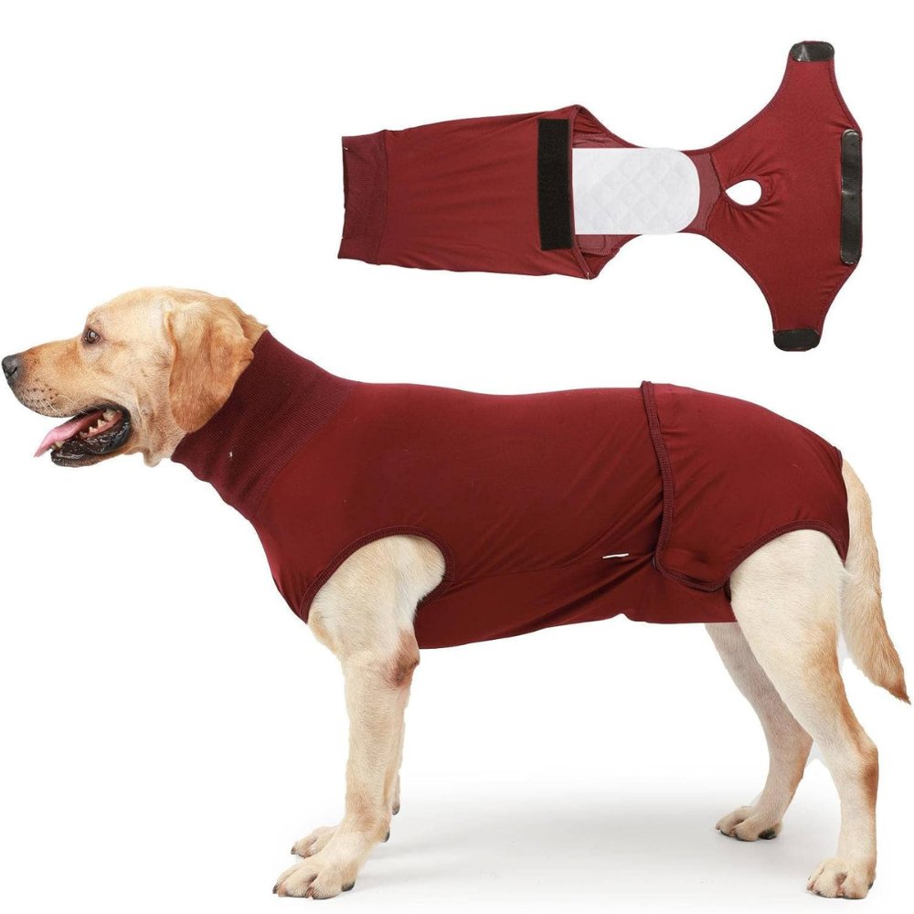 RecoverEase • Professional Dog Recovery Suit