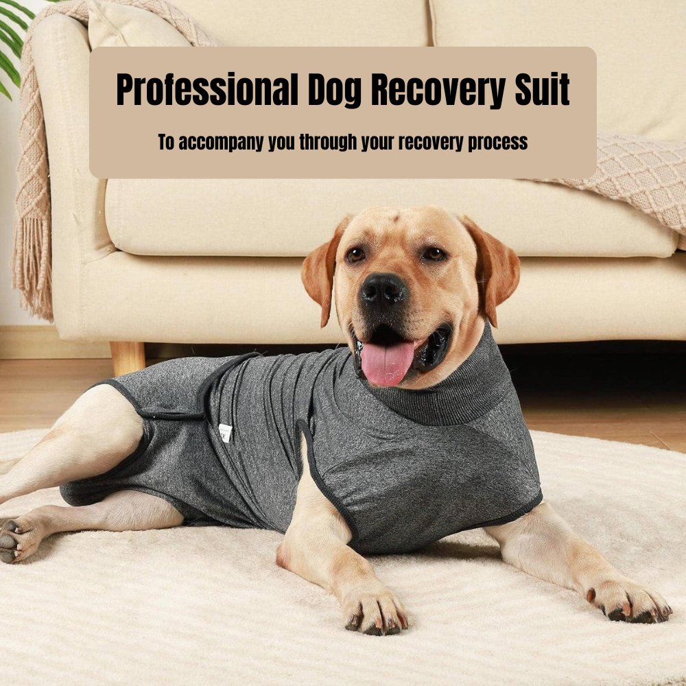 RecoverEase • Professional Dog Recovery Suit