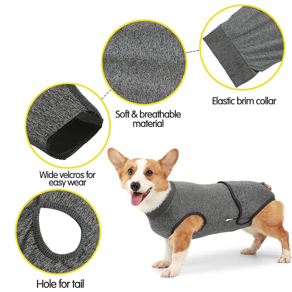 RecoverEase • Professional Dog Recovery Suit