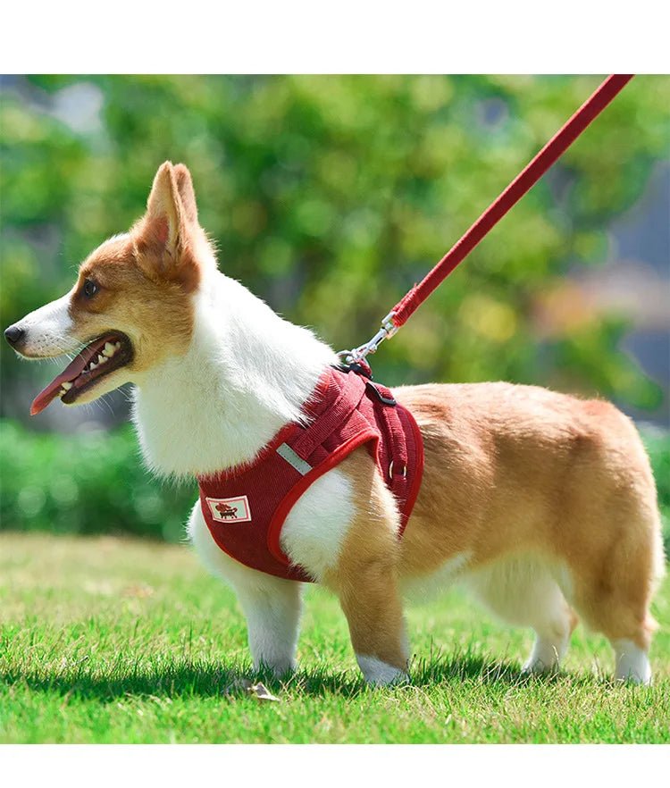 ReflectaHarness • No Pull Dog Harness
