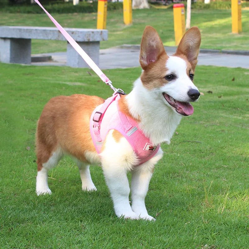 ReflectaHarness • No Pull Dog Harness