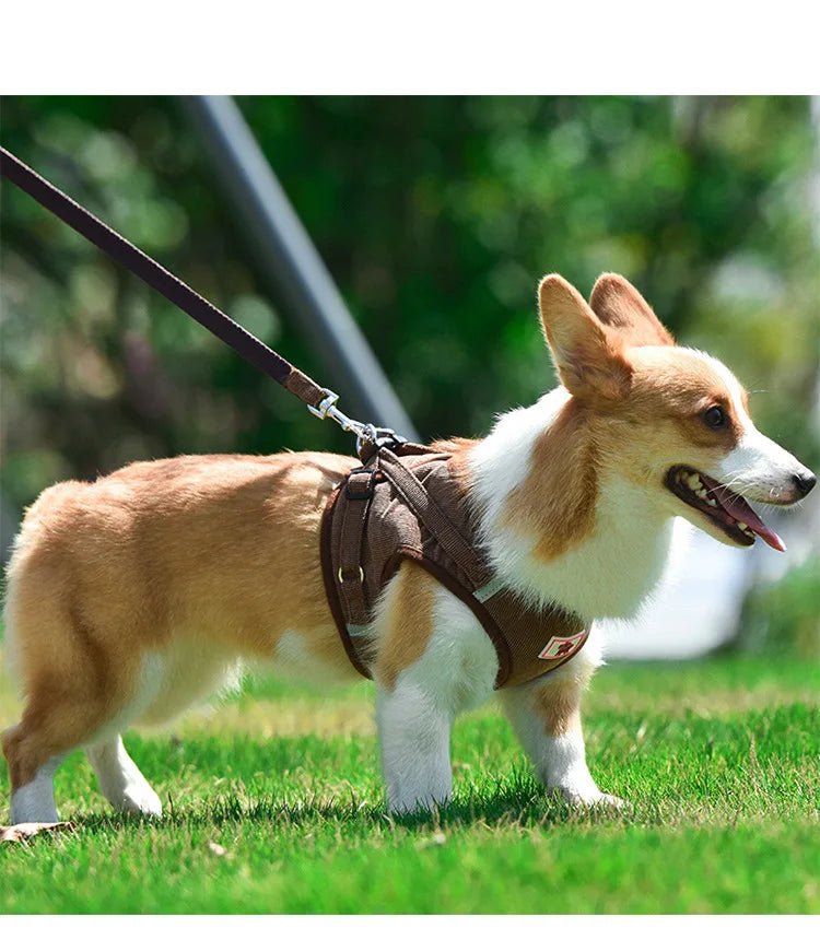 ReflectaHarness • No Pull Dog Harness