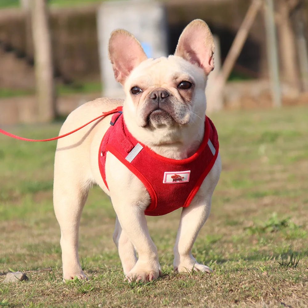 ReflectaHarness • No Pull Dog Harness