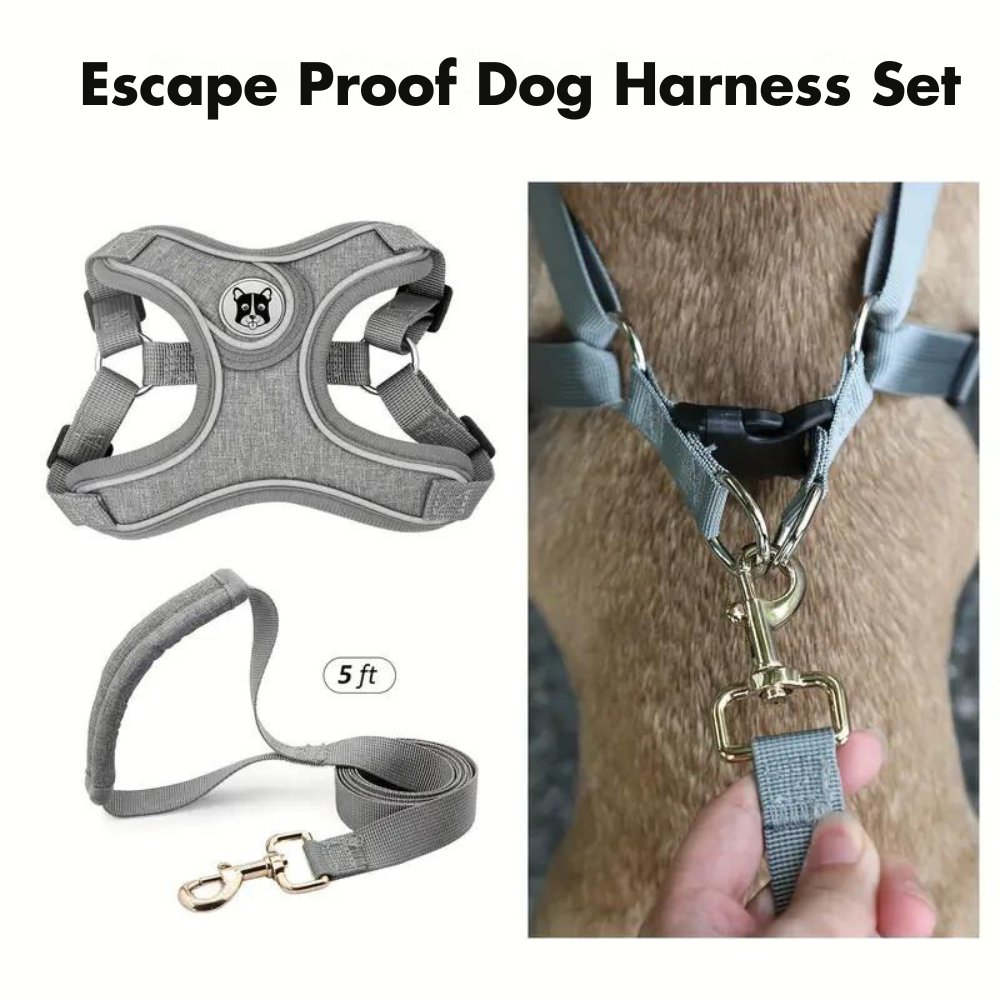 ReflectoLeash •  No Pull Dog Harness