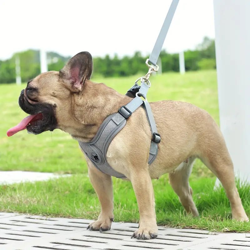 ReflectoLeash •  No Pull Dog Harness