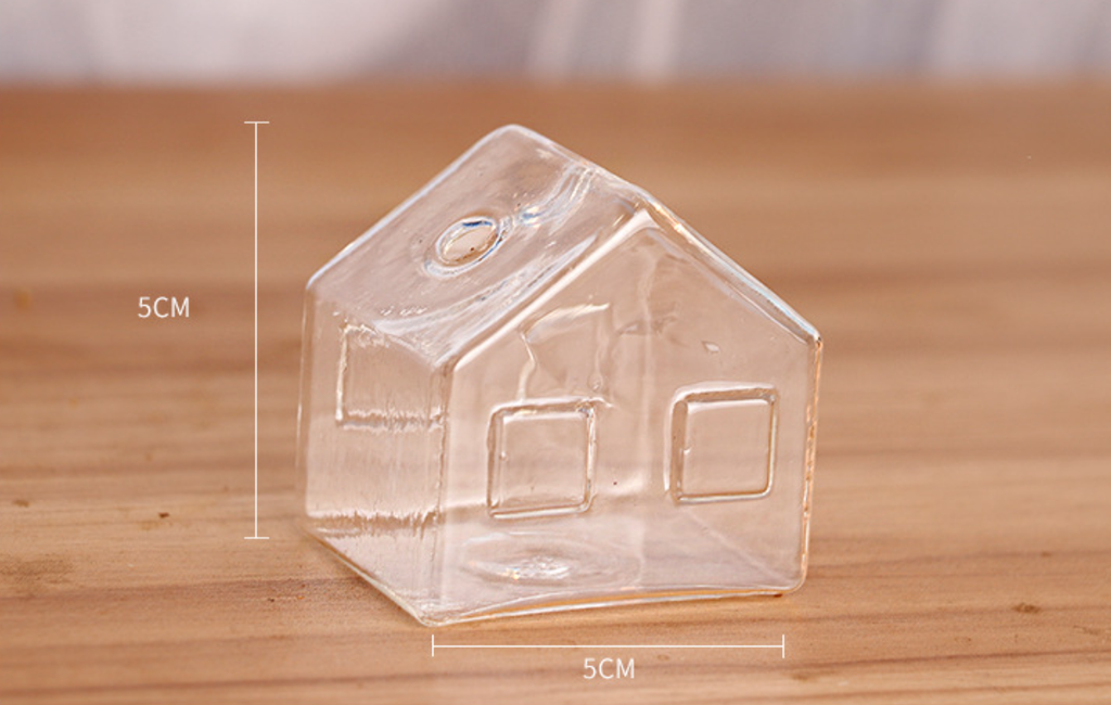Avtoit | Simple Mini House Glass Flower Vase
