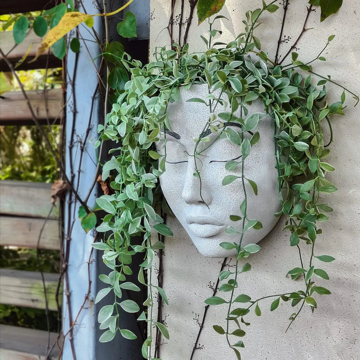 Avtoit | Resin Human Face Hanging Planter - FaceVibe