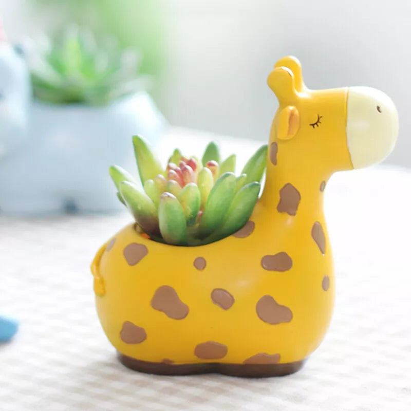 Avtoit | Animal Plant Pots – Funny Animal Designs for Succulents and Cacti