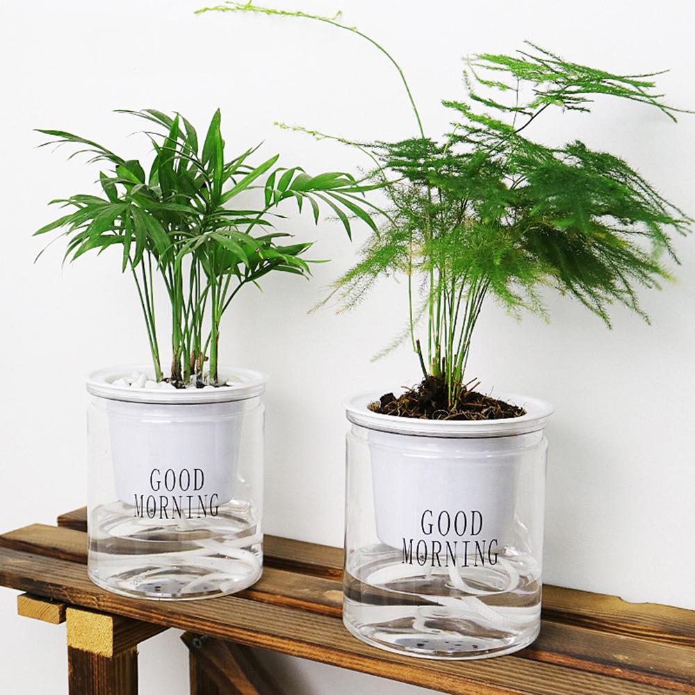Avtoit | Self-watering Hydro-Flower Pot