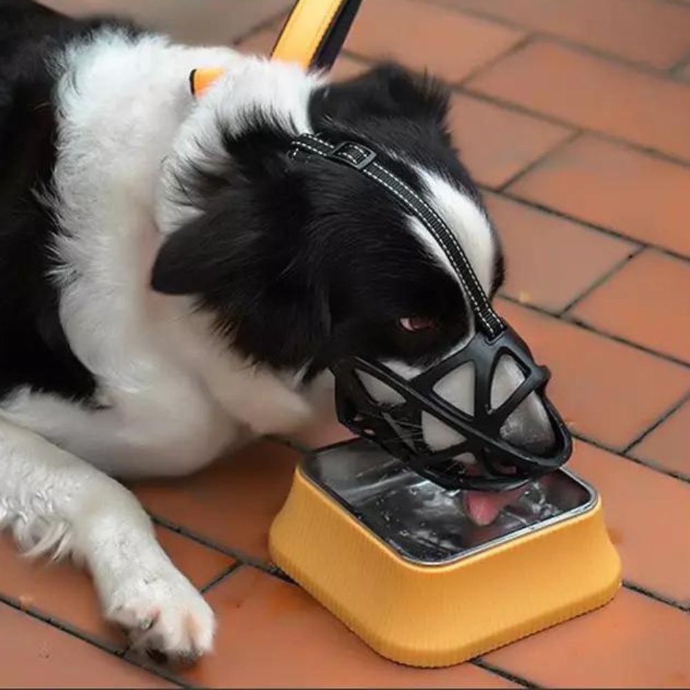 Dog Muzzle for Bite and Bark Control