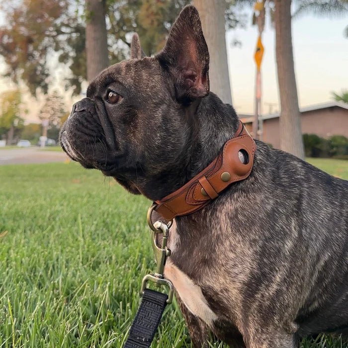 SafeTrack • Premium AirTag Dog Collar