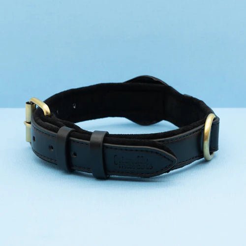 SafeTrack • Premium AirTag Dog Collar