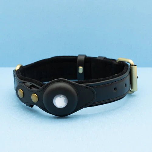 SafeTrack • Premium AirTag Dog Collar