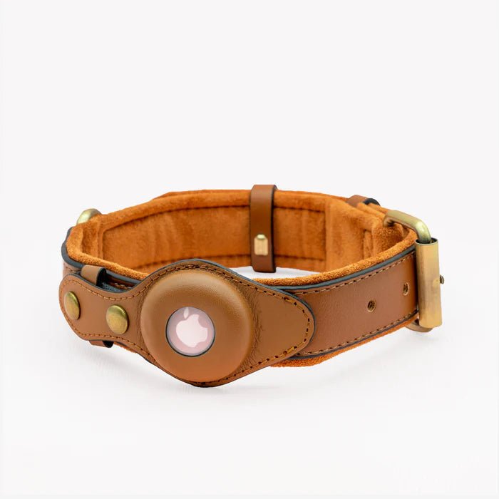 SafeTrack • Premium AirTag Dog Collar