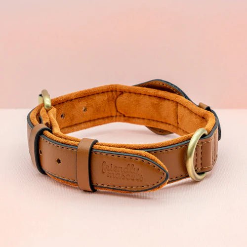 SafeTrack • Premium AirTag Dog Collar