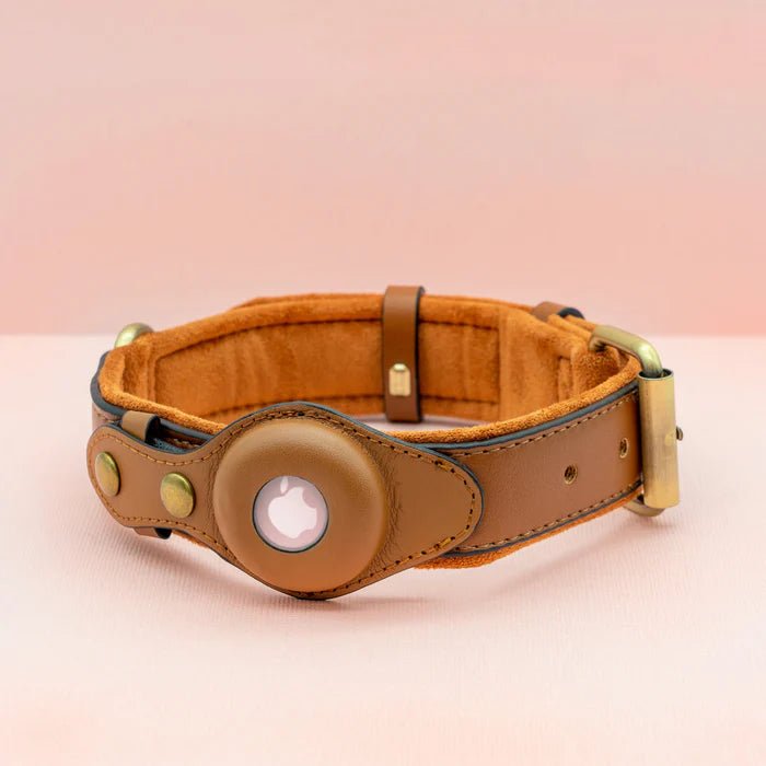 SafeTrack • Premium AirTag Dog Collar