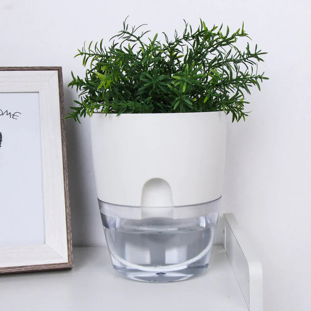 Avtoit | Self-Watering Plant Pot - AquaBloom