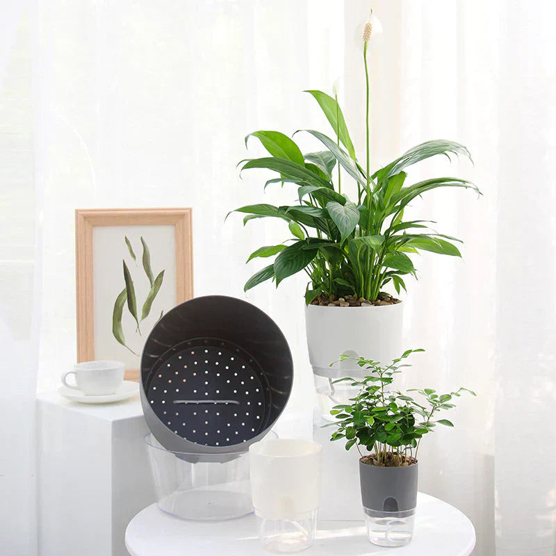 Avtoit | Self-Watering Plant Pot - AquaBloom