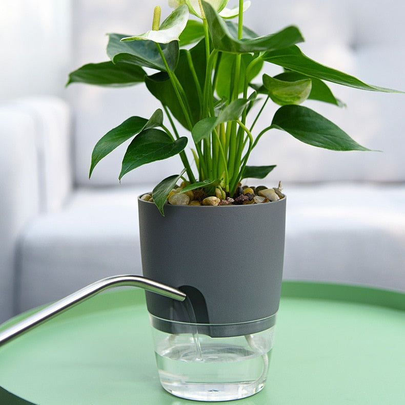 Avtoit | Self-Watering Plant Pot - AquaBloom