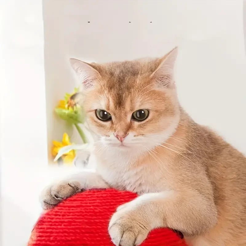 ShroomScratch • Mushroom Cat Scratcher