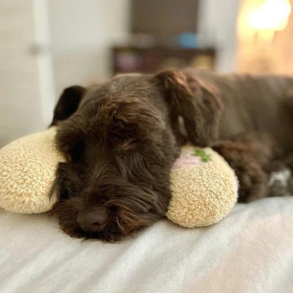 SleepHug • Calming Pet Pillow for Dogs & Cats