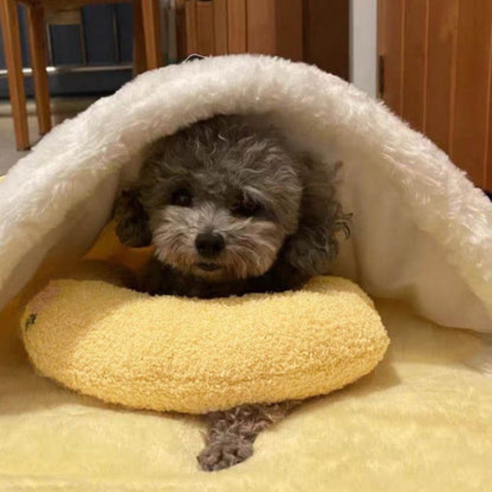 SleepHug • Calming Pet Pillow for Dogs & Cats
