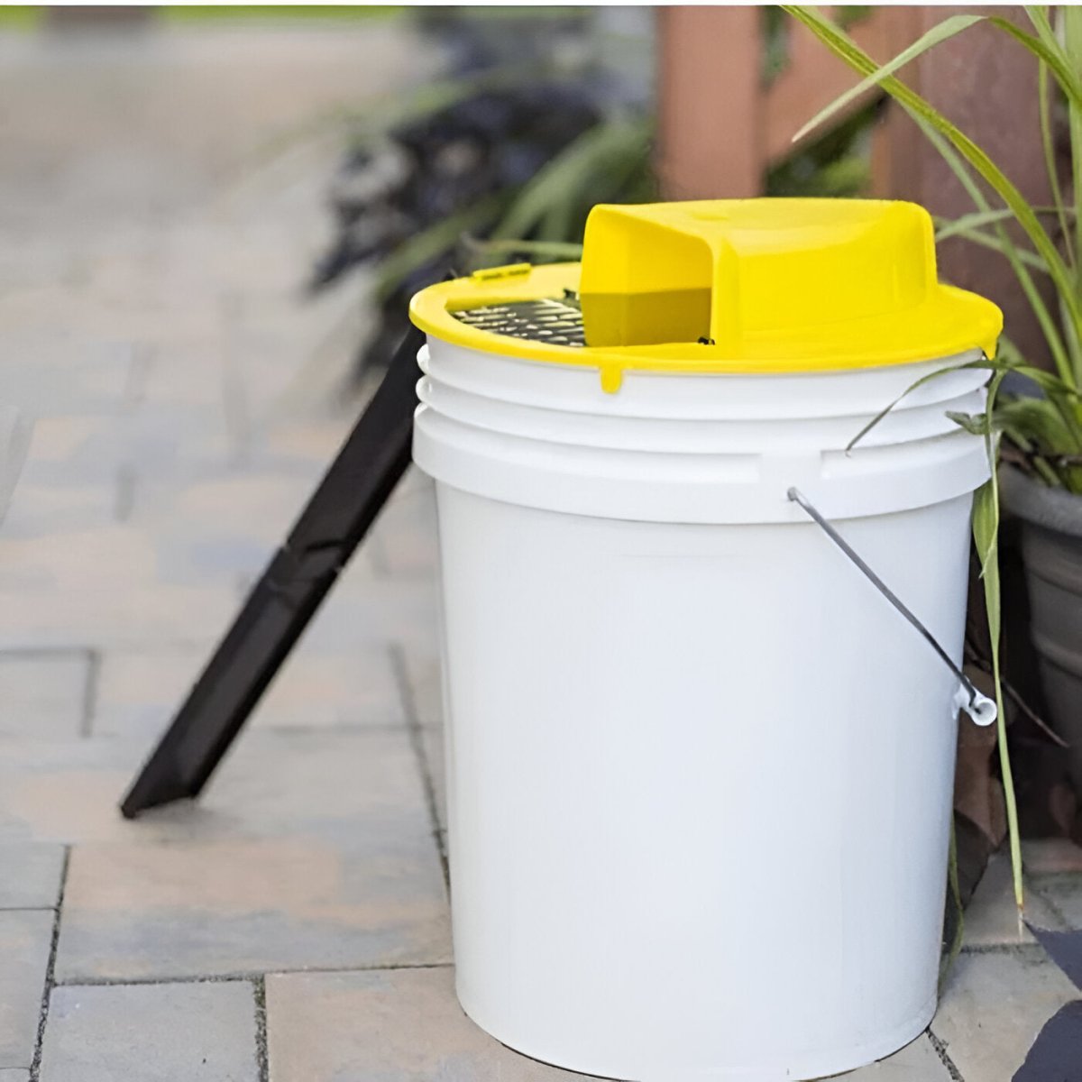 Avtoit | Smart Mouse Trap | Hands-Free, Safe for Families & Pets, Multiple Capture Design for Effective Rodent Control