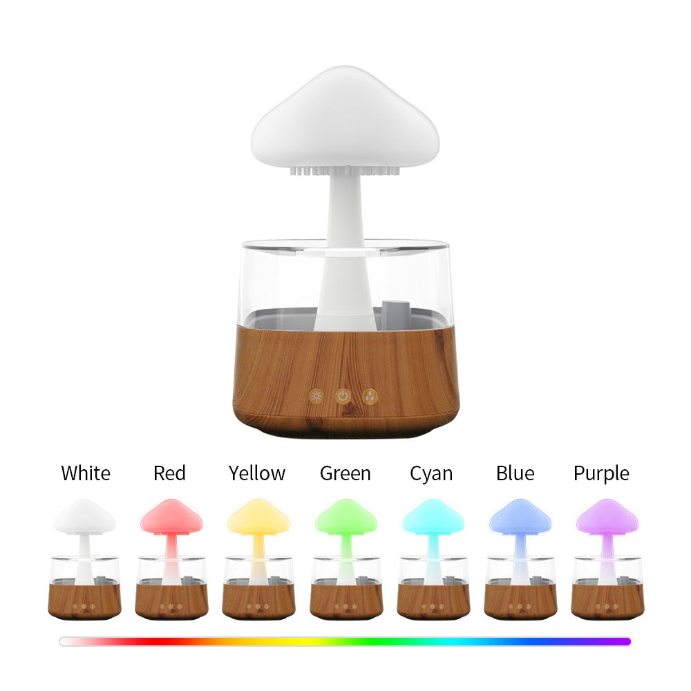 Avtoit | Rain Cloud humidifier