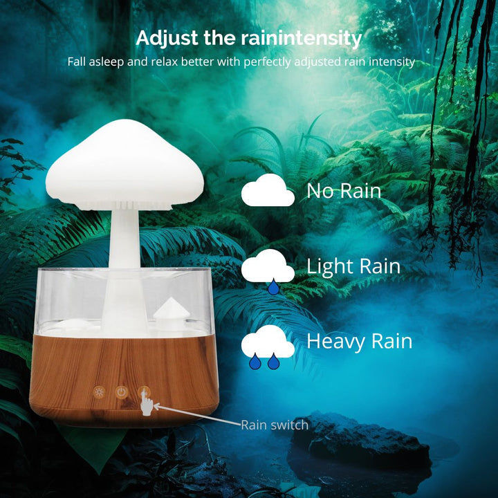 Avtoit | Rain Cloud humidifier