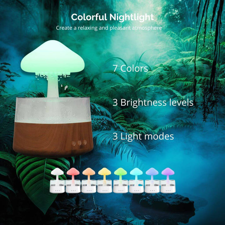 Avtoit | Rain Cloud humidifier