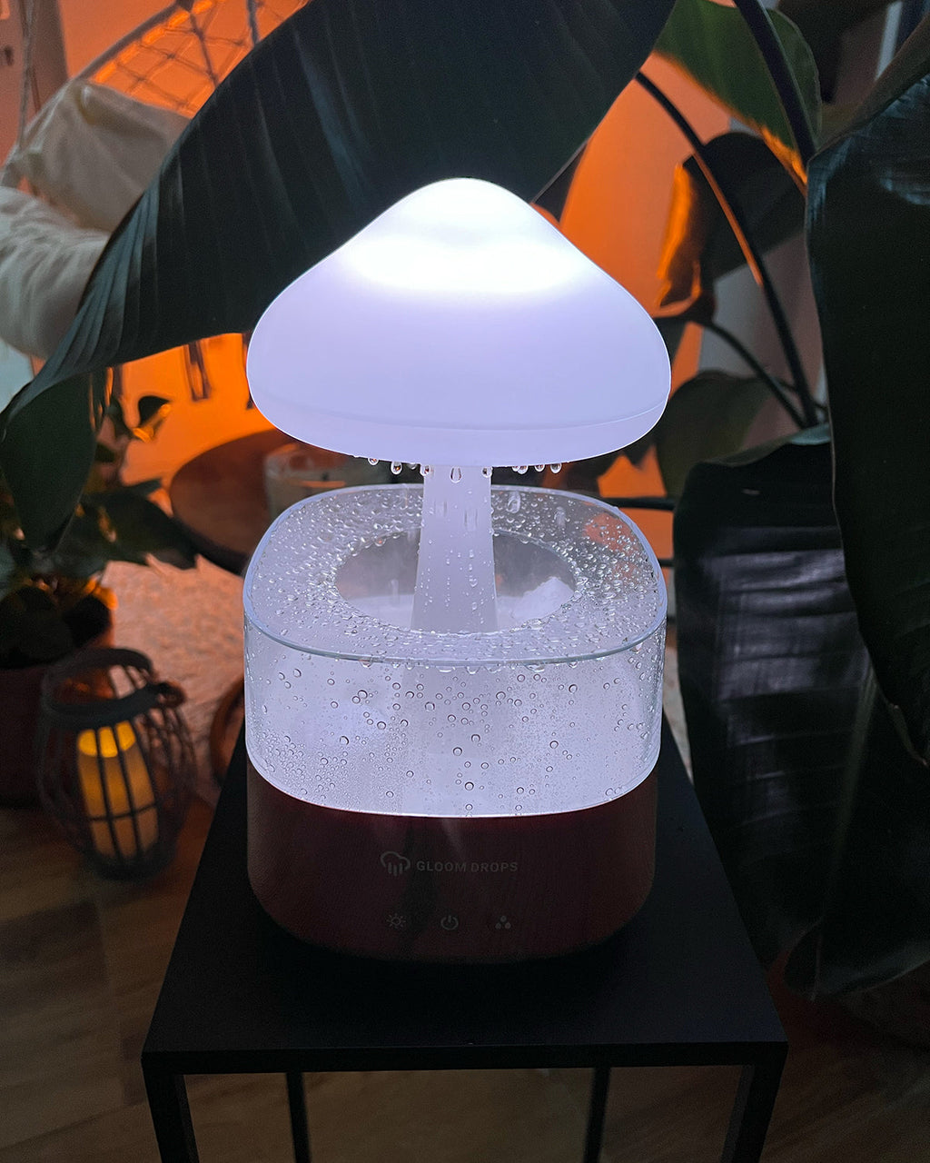 Avtoit | Rain Cloud humidifier
