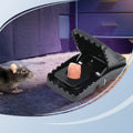 Avtoit |  Powerful mouse trap with high sensitivity