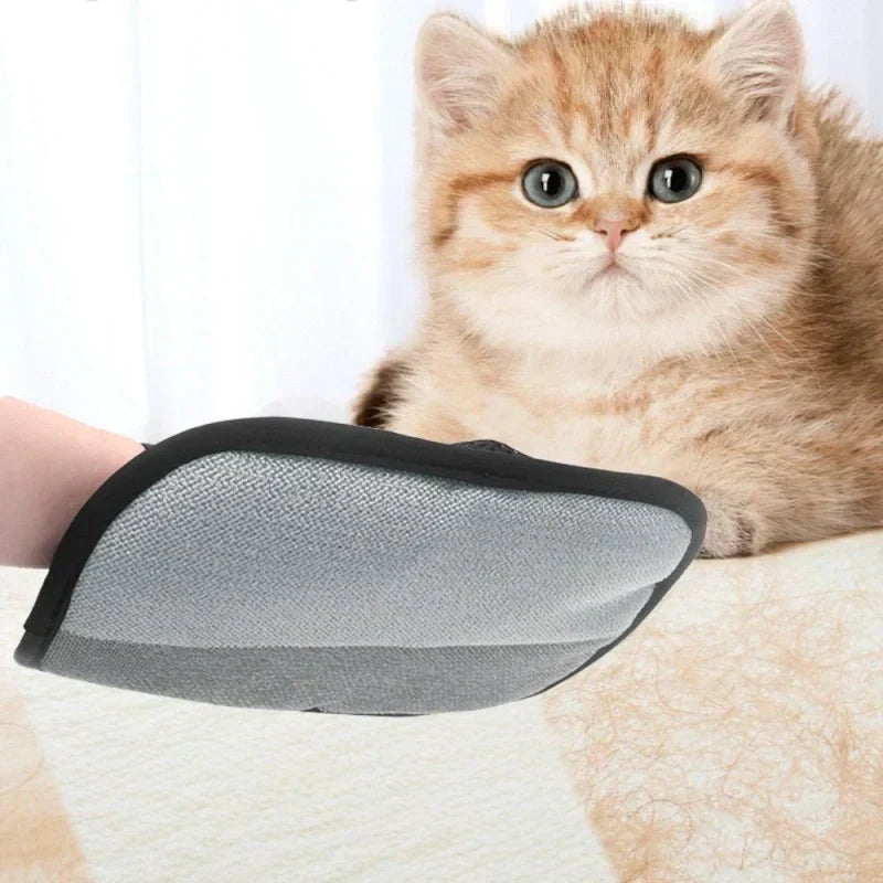 Avtoit |  Reusable gloves for removing pet hair