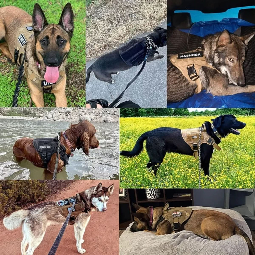 Avtoit | Adjustable Dog Harness for Safe and Comfortable Training