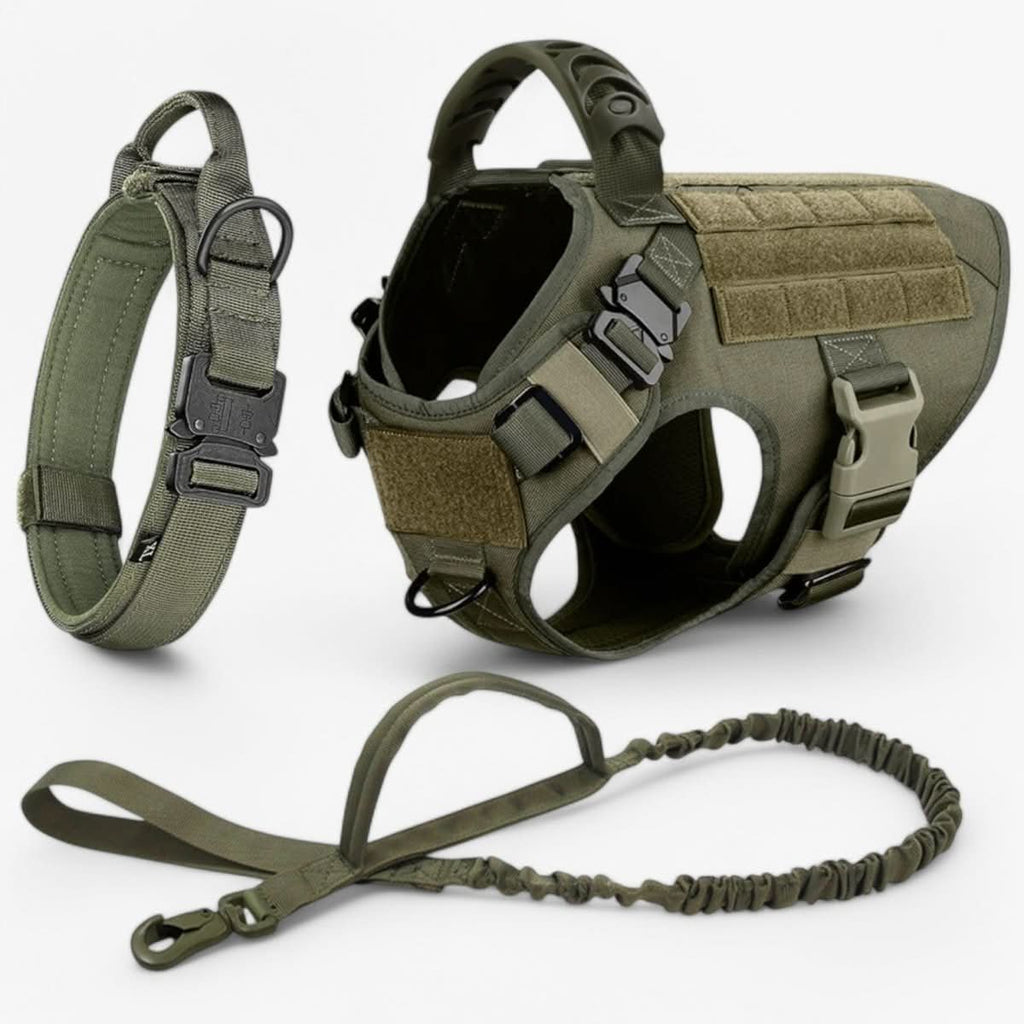 Avtoit | Adjustable Dog Harness for Safe and Comfortable Training