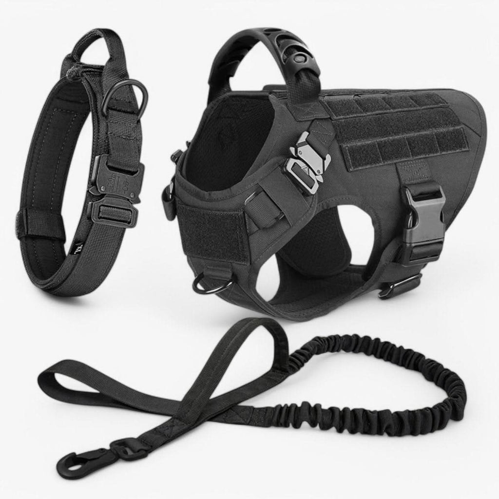 Avtoit | Adjustable Dog Harness for Safe and Comfortable Training