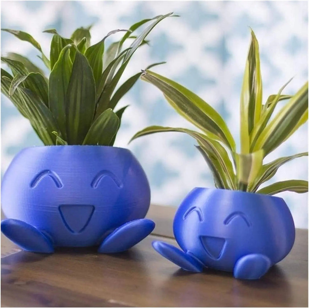 Avtoit | Unique Succulent Planter - QuirkyPot