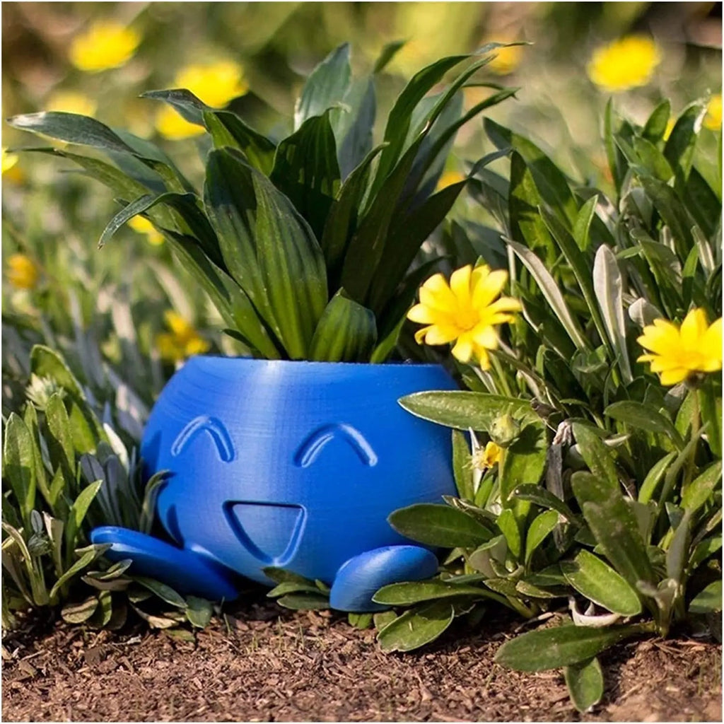 Avtoit | Unique Succulent Planter - QuirkyPot