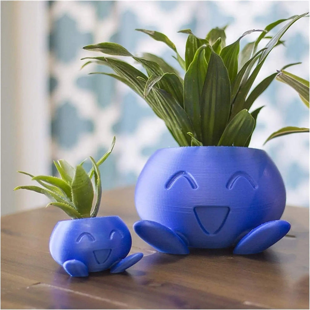 Avtoit | Unique Succulent Planter - QuirkyPot