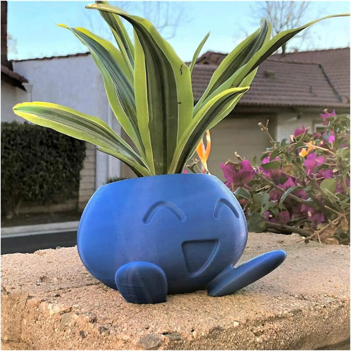 Avtoit | Unique Succulent Planter - QuirkyPot