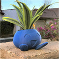 Avtoit | Unique Succulent Planter - QuirkyPot